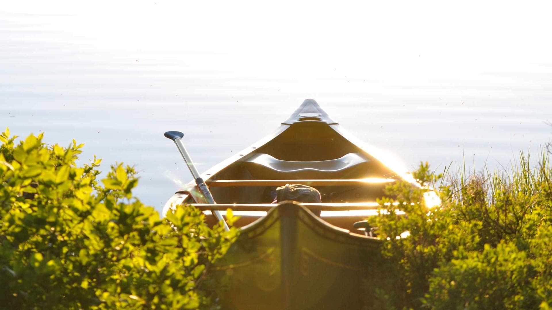 Securing Your Cloud Infrastructure